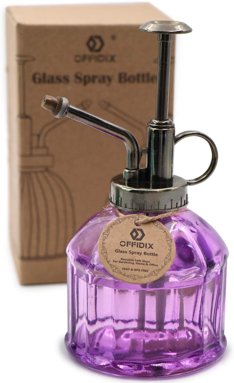 Glass Plant Mister Spray Bottle, Purple Small Watering Can 6.7 oz