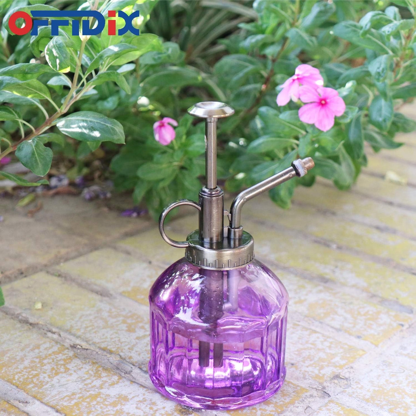 Glass Plant Mister Spray Bottle, Purple Small Watering Can 6.7 oz