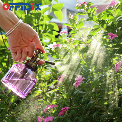 Glass Plant Mister Spray Bottle, Purple Small Watering Can 6.7 oz