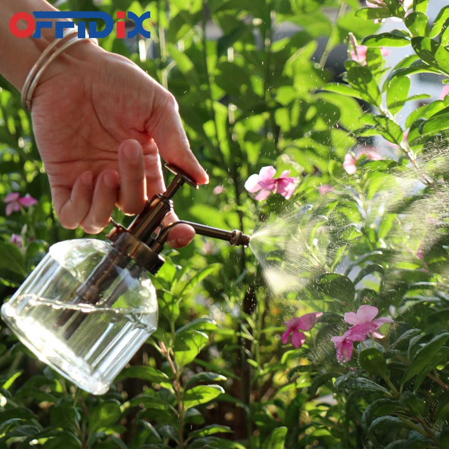 Glass Plant Mister Spray Bottle, Purple Small Watering Can 6.7 oz