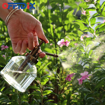 Glass Plant Mister Spray Bottle, Purple Small Watering Can 6.7 oz