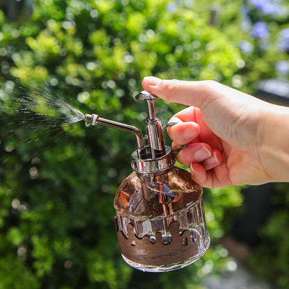Glass Plant Mister Spray Bottle, Purple Small Watering Can 6.7 oz