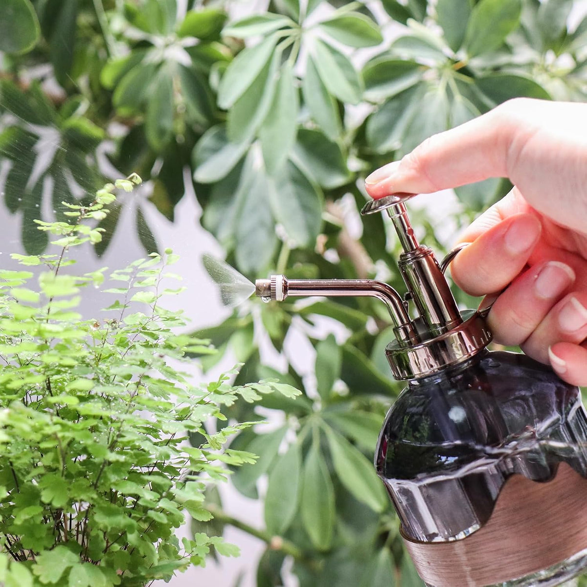 Glass Plant Mister Spray Bottle, Purple Small Watering Can 6.7 oz