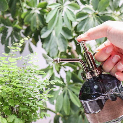 Glass Plant Mister Spray Bottle, Purple Small Watering Can 6.7 oz