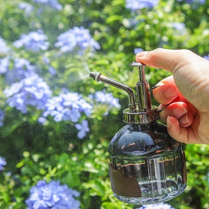 Glass Plant Mister Spray Bottle, Purple Small Watering Can 6.7 oz