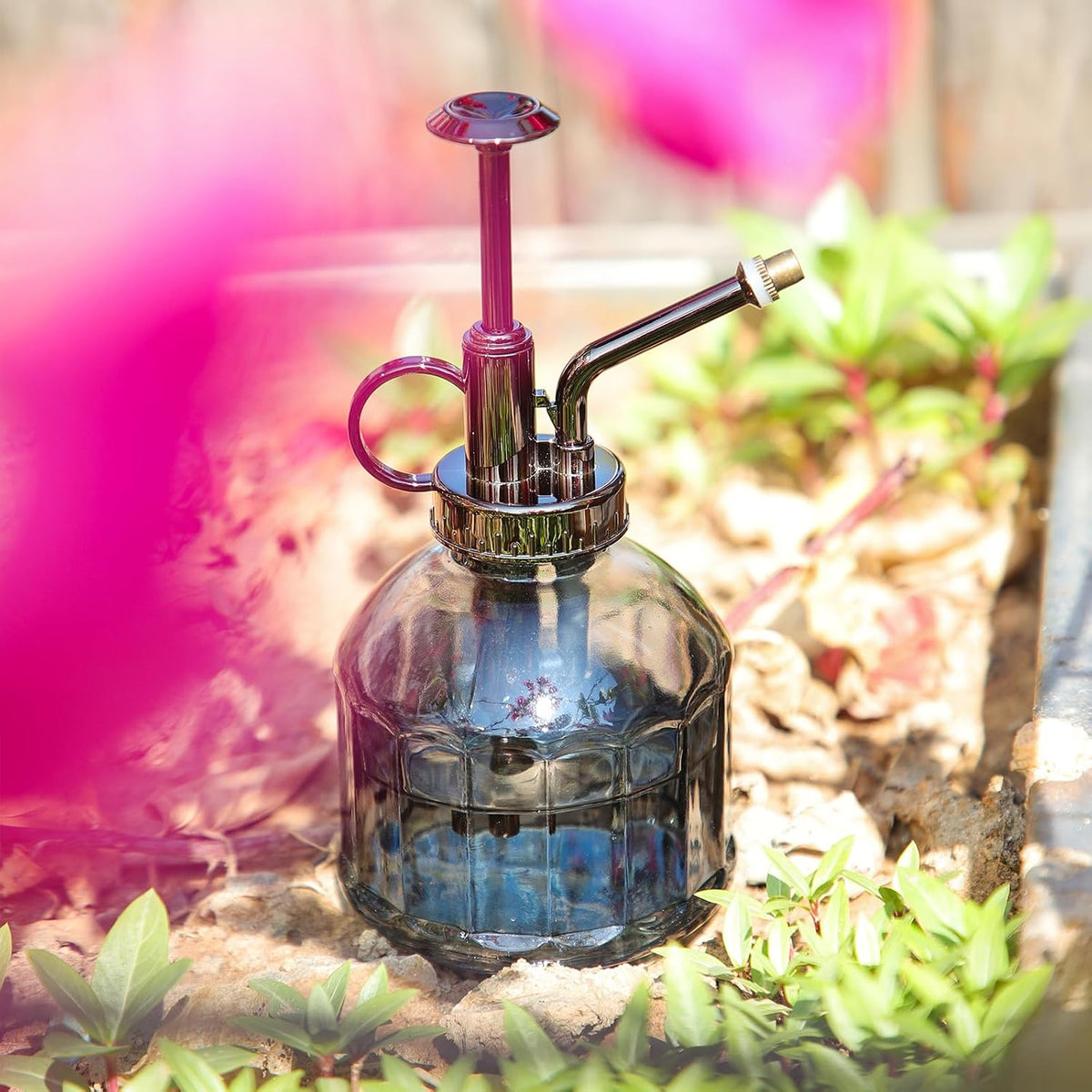 Glass Plant Mister Spray Bottle, Purple Small Watering Can 6.7 oz