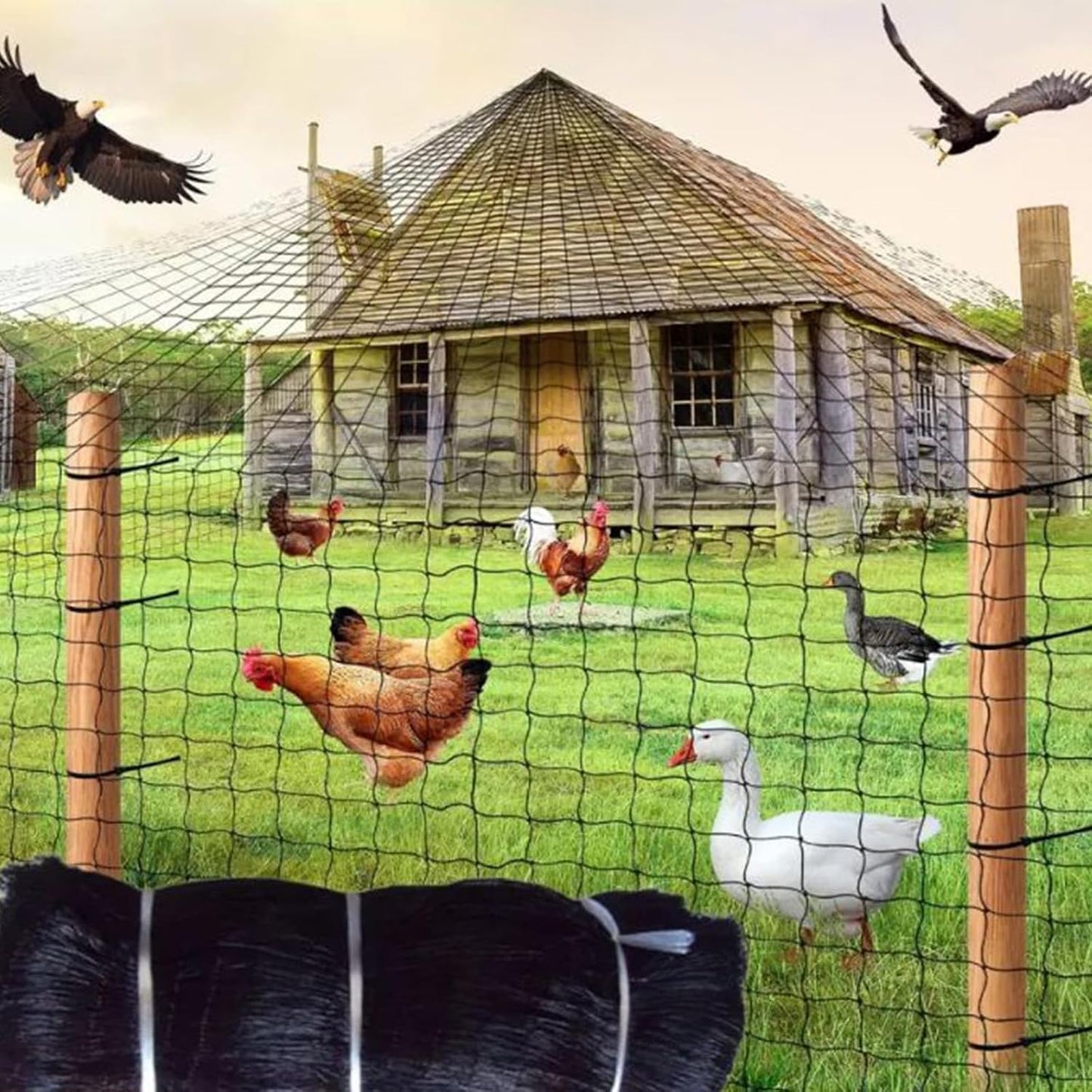 Heavy Duty Bird Netting - 35FT*35FT 1” Mesh UV Resistant