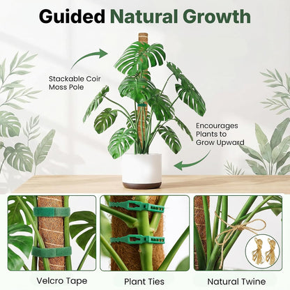 4 Pack 16" Moss Pole Monstera Plant Support - Stackable up to 48"
