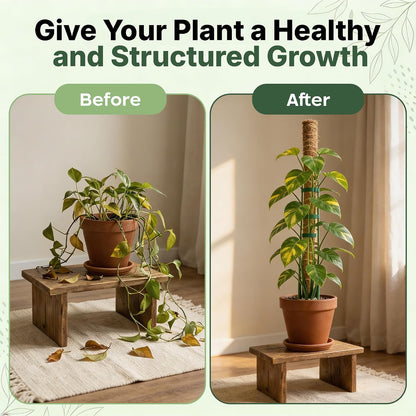 4 Pack 16" Moss Pole Monstera Plant Support - Stackable up to 48"