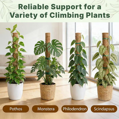 4 Pack 16" Moss Pole Monstera Plant Support - Stackable up to 48"