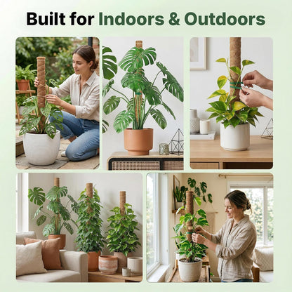 4 Pack 16" Moss Pole Monstera Plant Support - Stackable up to 48"