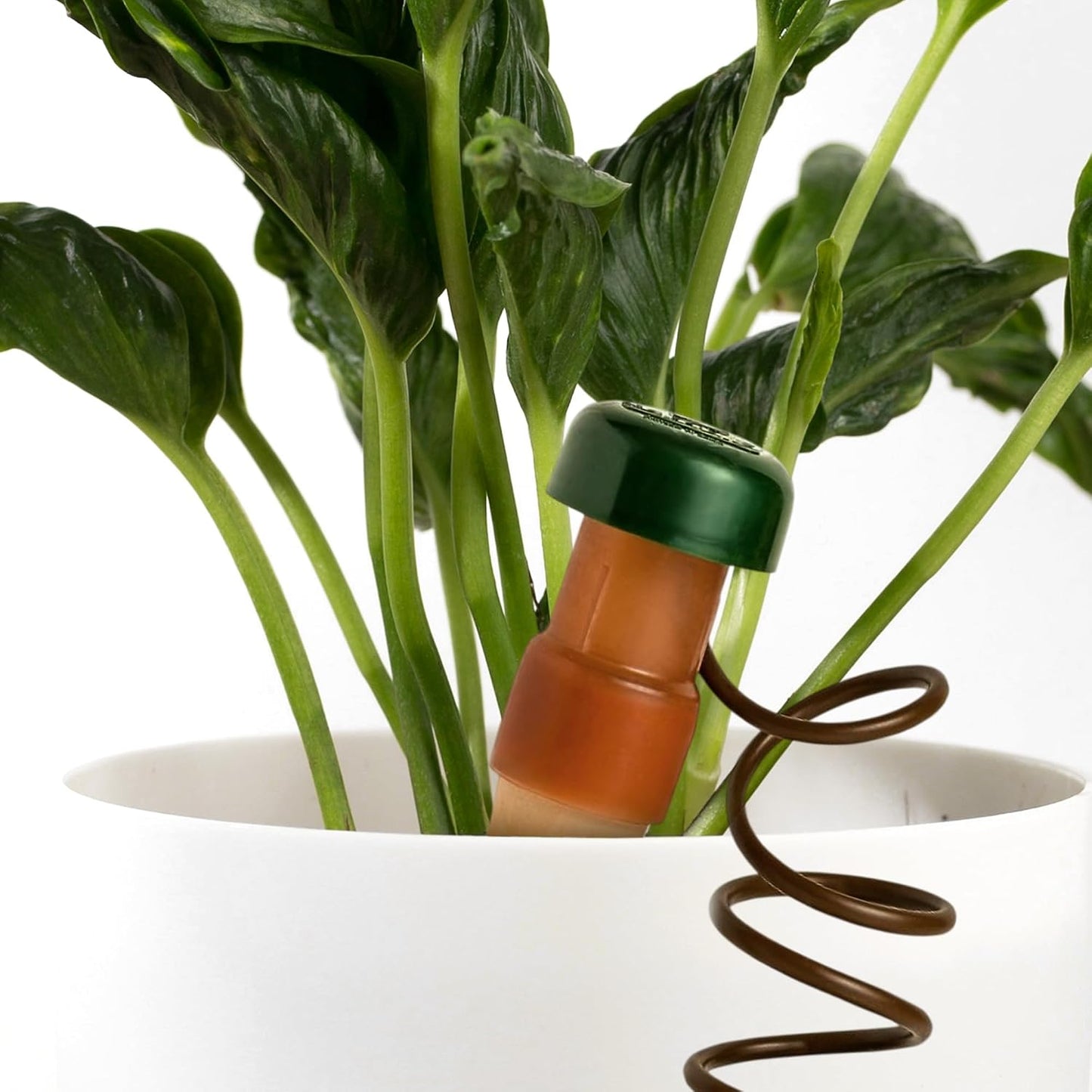 Blumat Classic Self-Watering Stakes - Prevents Overwatering and Underwatering for Healthy Growth While You are Away - Ideal for Indoor Plant Watering (3 Pack w/o Adapter)