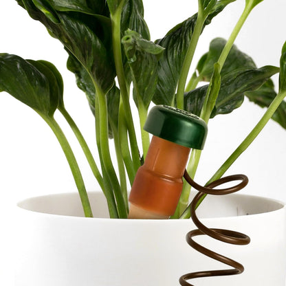 Blumat Classic Self-Watering Stakes - Prevents Overwatering and Underwatering for Healthy Growth While You are Away - Ideal for Indoor Plant Watering (3 Pack w/o Adapter)
