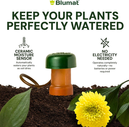 Blumat Classic Self-Watering Stakes - Prevents Overwatering and Underwatering for Healthy Growth While You are Away - Ideal for Indoor Plant Watering (3 Pack w/o Adapter)