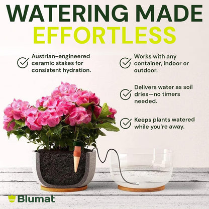 Blumat Classic Self-Watering Stakes - Prevents Overwatering and Underwatering for Healthy Growth While You are Away - Ideal for Indoor Plant Watering (3 Pack w/o Adapter)