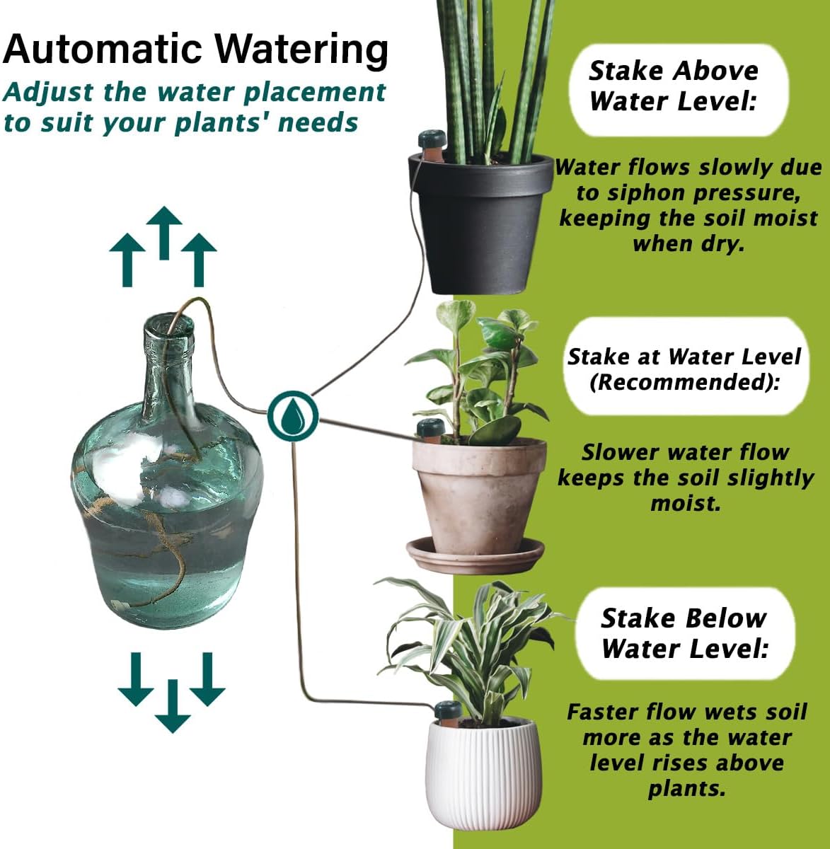 Blumat Classic Self-Watering Stakes - Prevents Overwatering and Underwatering for Healthy Growth While You are Away - Ideal for Indoor Plant Watering (3 Pack w/o Adapter)
