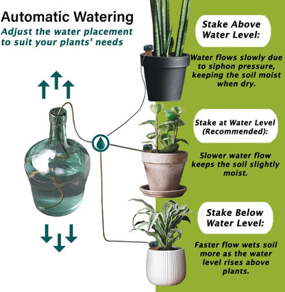 Blumat Classic Self-Watering Stakes - Prevents Overwatering and Underwatering for Healthy Growth While You are Away - Ideal for Indoor Plant Watering (3 Pack w/o Adapter)