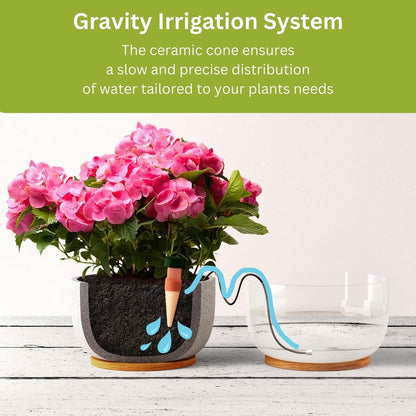 Blumat Classic Self-Watering Stakes - Prevents Overwatering and Underwatering for Healthy Growth While You are Away - Ideal for Indoor Plant Watering (3 Pack w/o Adapter)