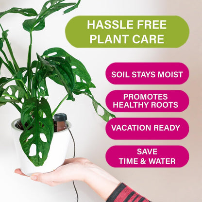 Blumat Classic Self-Watering Stakes - Prevents Overwatering and Underwatering for Healthy Growth While You are Away - Ideal for Indoor Plant Watering (3 Pack w/o Adapter)