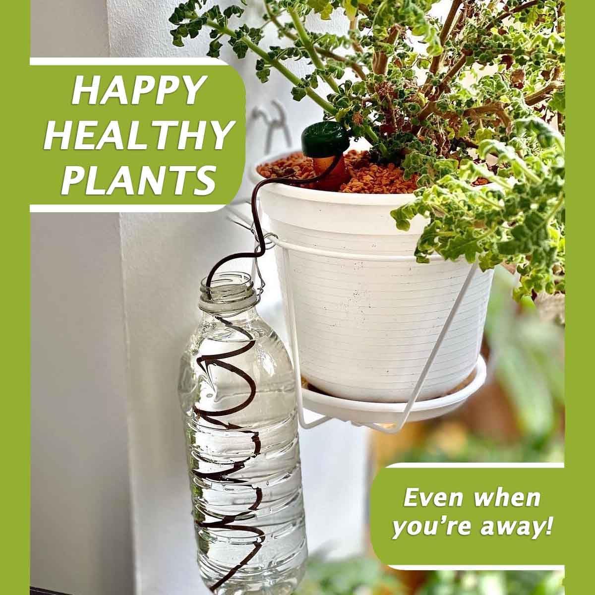 Blumat Classic Self-Watering Stakes - Prevents Overwatering and Underwatering for Healthy Growth While You are Away - Ideal for Indoor Plant Watering (3 Pack w/o Adapter)