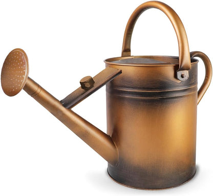 1 Gallon Metal Watering Can with Removable Spout, Nice Galvanized Steel Water Can for Indoor and Outdoor Plants (House Plants)