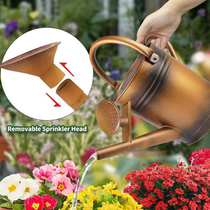 1 Gallon Metal Watering Can with Removable Spout, Nice Galvanized Steel Water Can for Indoor and Outdoor Plants (House Plants)