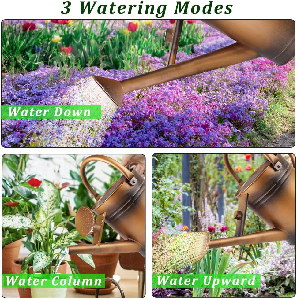 1 Gallon Metal Watering Can with Removable Spout, Nice Galvanized Steel Water Can for Indoor and Outdoor Plants (House Plants)