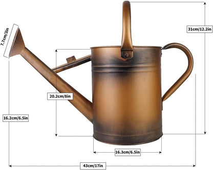 1 Gallon Metal Watering Can with Removable Spout, Nice Galvanized Steel Water Can for Indoor and Outdoor Plants (House Plants)
