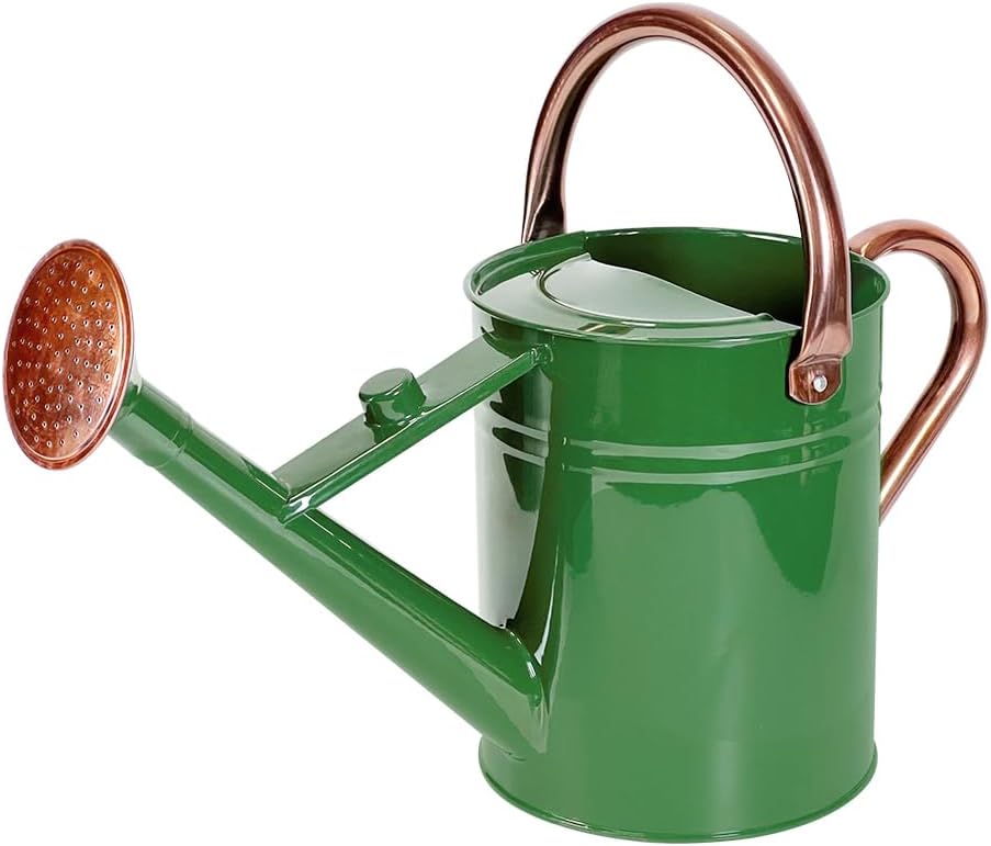 1 Gallon Metal Watering Can with Removable Spout, Nice Galvanized Steel Water Can for Indoor and Outdoor Plants (House Plants)