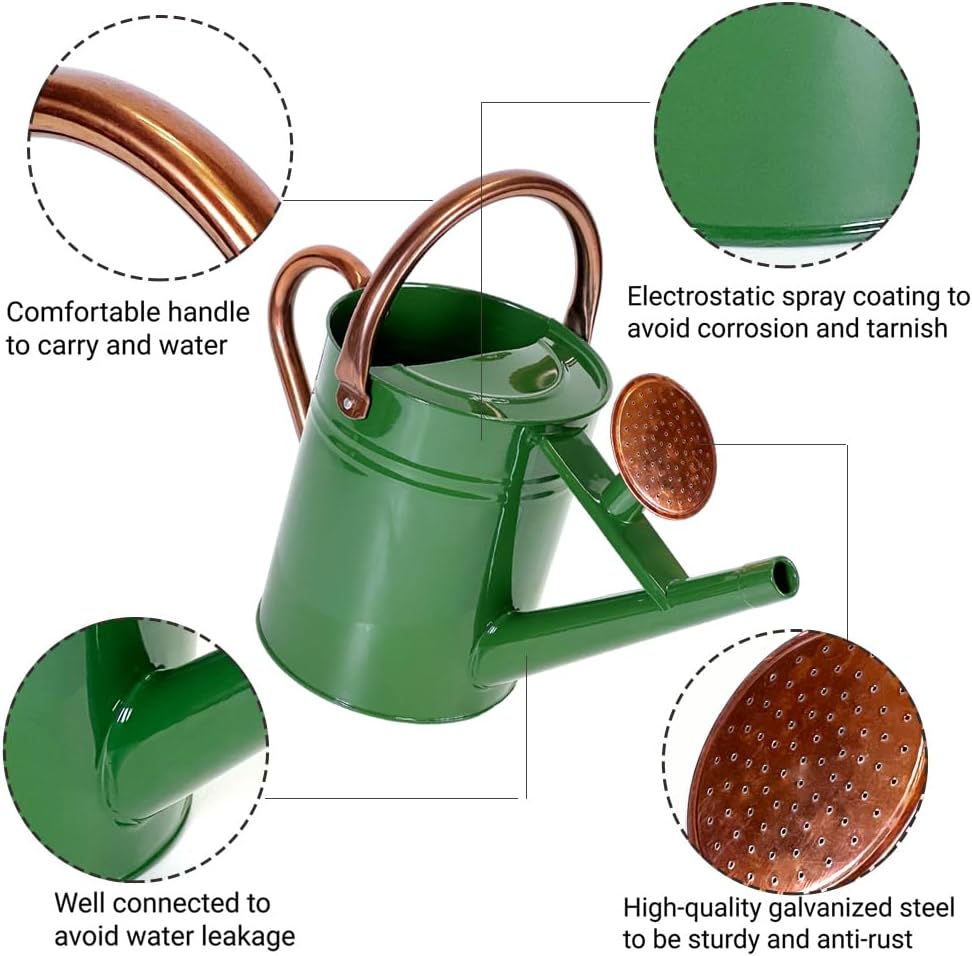 1 Gallon Metal Watering Can with Removable Spout, Nice Galvanized Steel Water Can for Indoor and Outdoor Plants (House Plants)