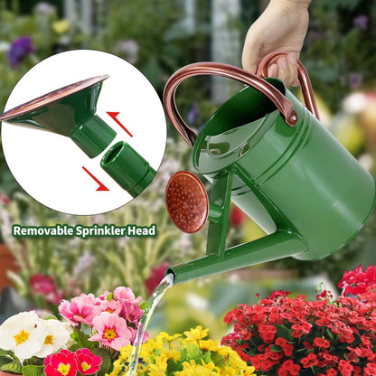 1 Gallon Metal Watering Can with Removable Spout, Nice Galvanized Steel Water Can for Indoor and Outdoor Plants (House Plants)