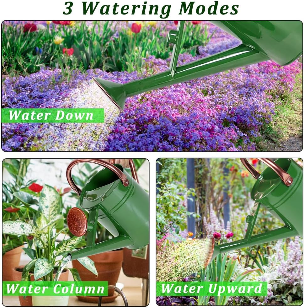 1 Gallon Metal Watering Can with Removable Spout, Nice Galvanized Steel Water Can for Indoor and Outdoor Plants (House Plants)