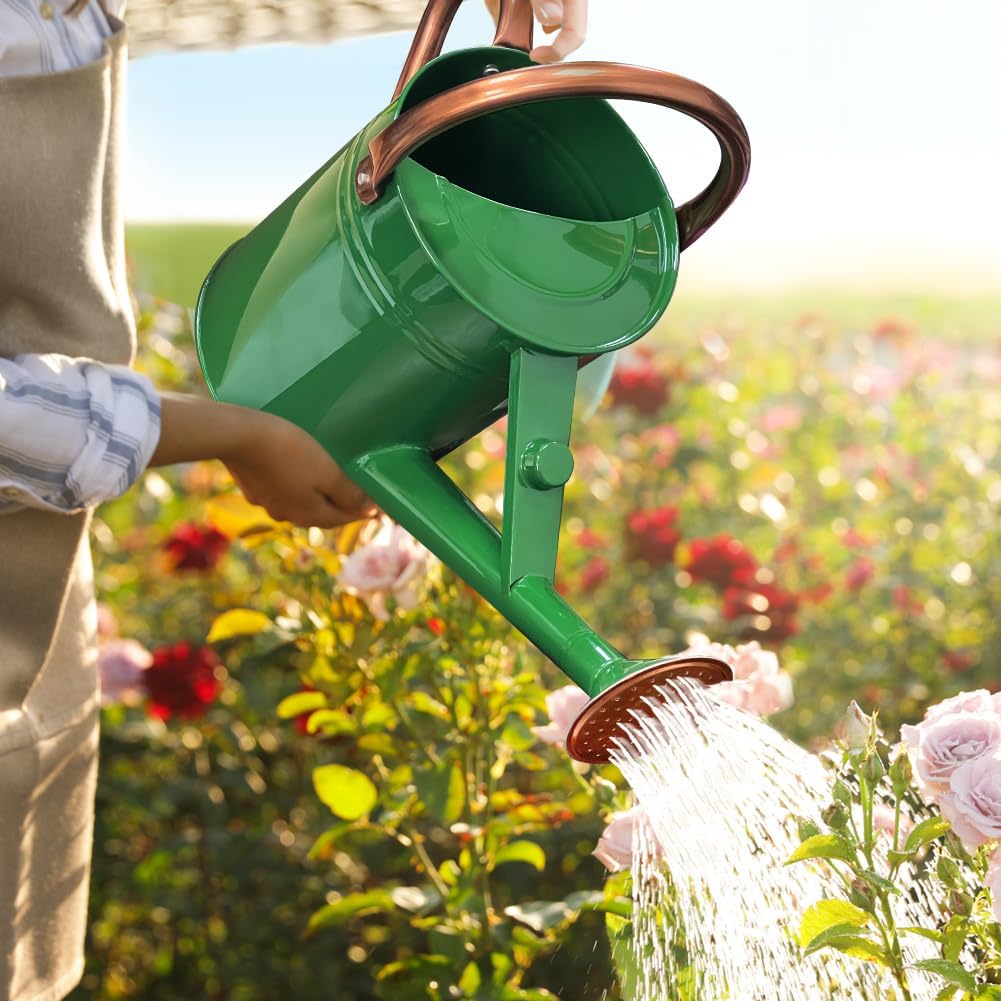 1 Gallon Metal Watering Can with Removable Spout, Nice Galvanized Steel Water Can for Indoor and Outdoor Plants (House Plants)