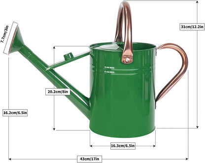 1 Gallon Metal Watering Can with Removable Spout, Nice Galvanized Steel Water Can for Indoor and Outdoor Plants (House Plants)