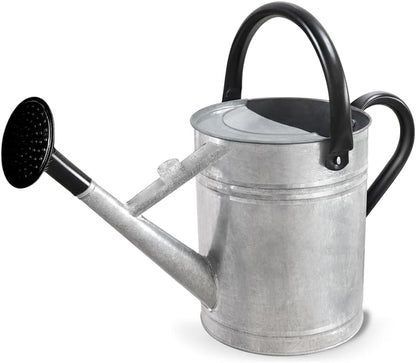 1 Gallon Metal Watering Can with Removable Spout, Nice Galvanized Steel Water Can for Indoor and Outdoor Plants (House Plants)