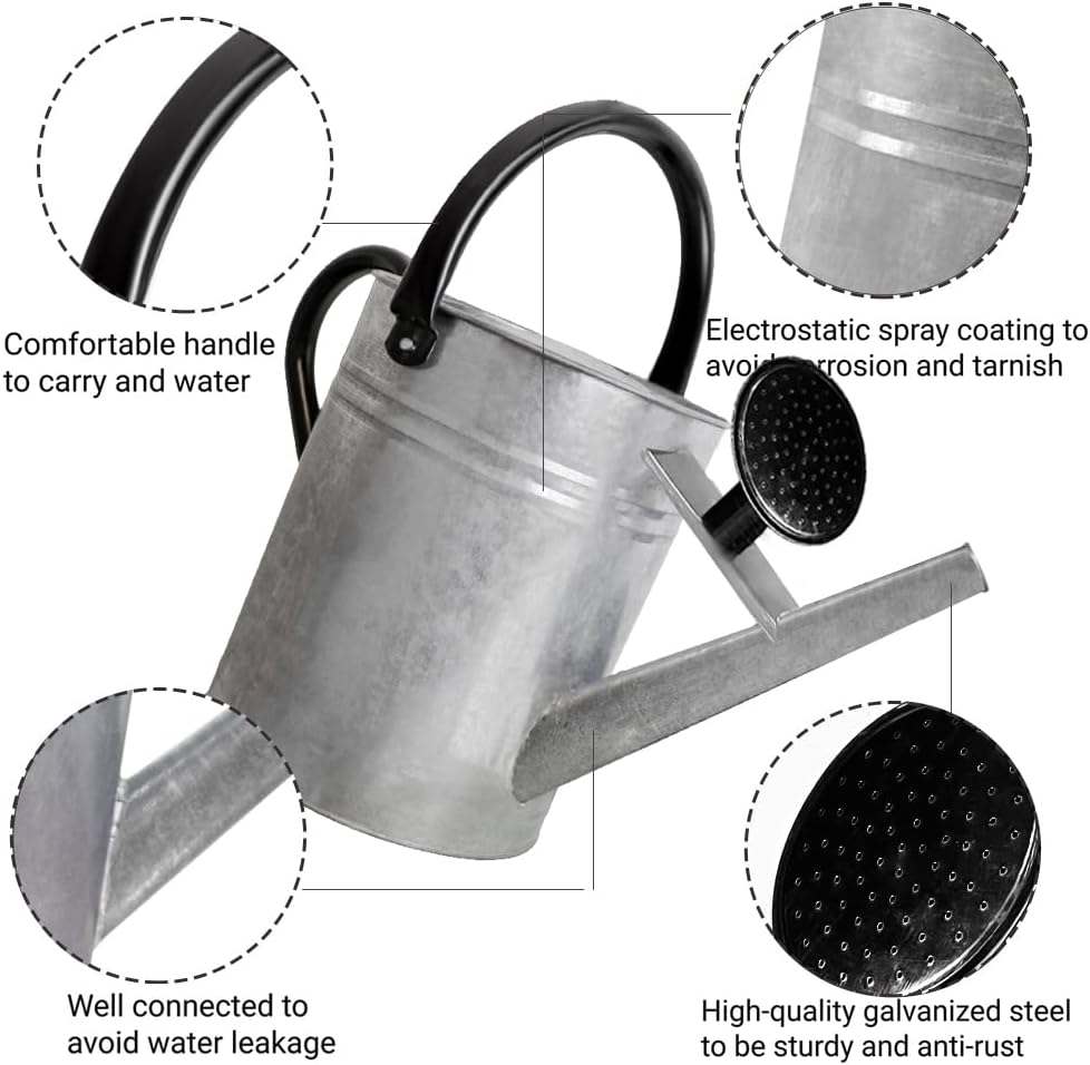1 Gallon Metal Watering Can with Removable Spout, Nice Galvanized Steel Water Can for Indoor and Outdoor Plants (House Plants)