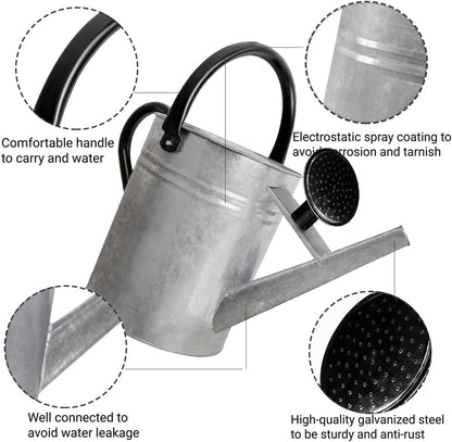 1 Gallon Metal Watering Can with Removable Spout, Nice Galvanized Steel Water Can for Indoor and Outdoor Plants (House Plants)