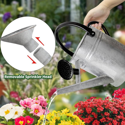 1 Gallon Metal Watering Can with Removable Spout, Nice Galvanized Steel Water Can for Indoor and Outdoor Plants (House Plants)