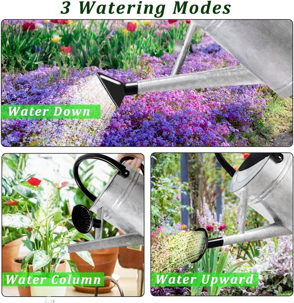 1 Gallon Metal Watering Can with Removable Spout, Nice Galvanized Steel Water Can for Indoor and Outdoor Plants (House Plants)