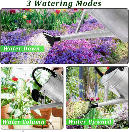 1 Gallon Metal Watering Can with Removable Spout, Nice Galvanized Steel Water Can for Indoor and Outdoor Plants (House Plants)
