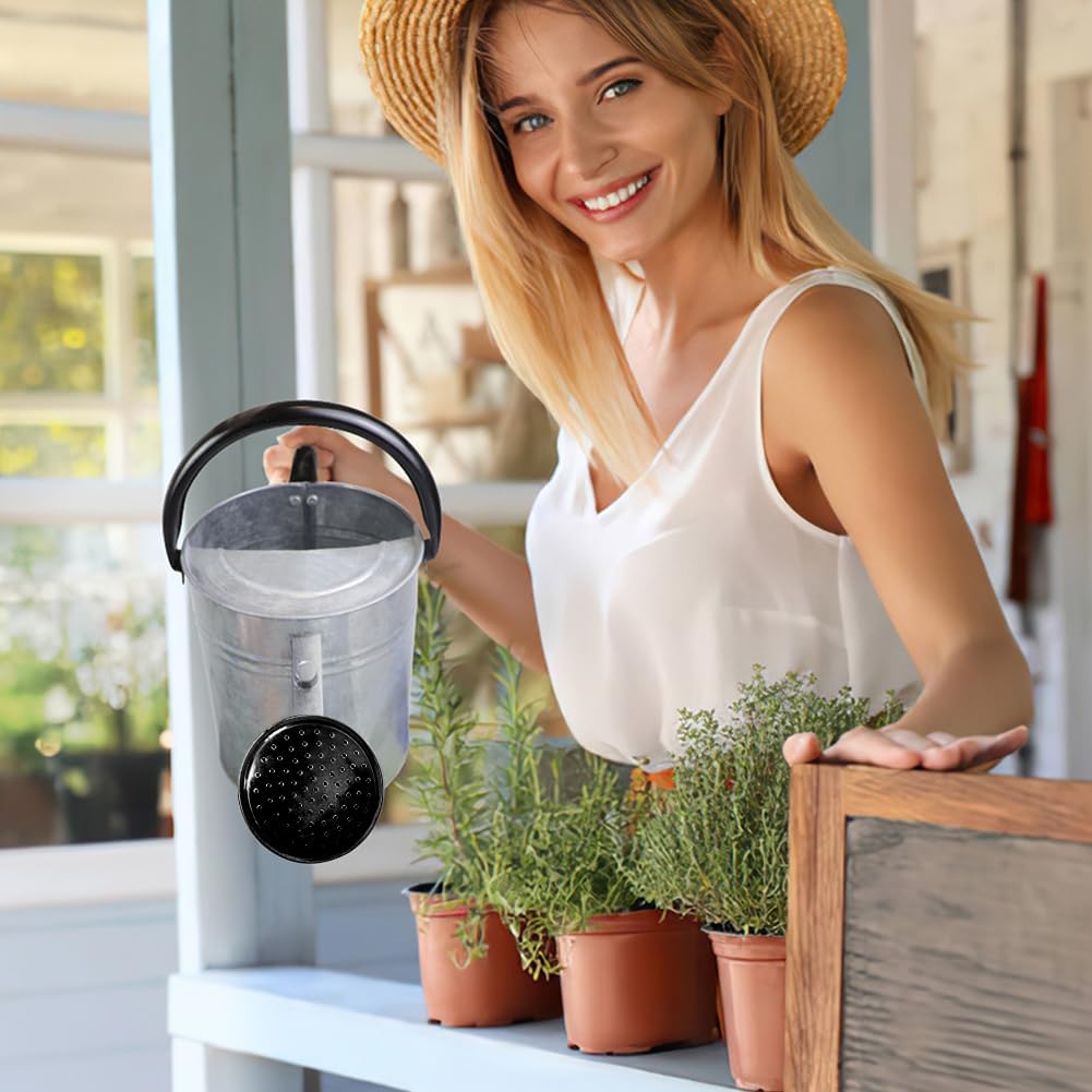 1 Gallon Metal Watering Can with Removable Spout, Nice Galvanized Steel Water Can for Indoor and Outdoor Plants (House Plants)
