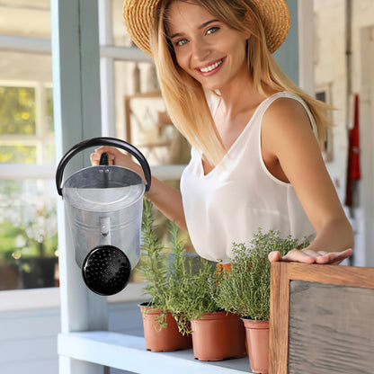 1 Gallon Metal Watering Can with Removable Spout, Nice Galvanized Steel Water Can for Indoor and Outdoor Plants (House Plants)
