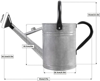 1 Gallon Metal Watering Can with Removable Spout, Nice Galvanized Steel Water Can for Indoor and Outdoor Plants (House Plants)