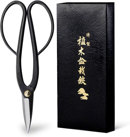 Wazakura Satsuki Bonsai Scissors, Made in Japan 7 inch (180 mm), Japanese Bonsai Garden Tools, Hasami Pruning Shears - Satsuki Style, Black