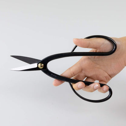 Wazakura Satsuki Bonsai Scissors, Made in Japan 7 inch (180 mm), Japanese Bonsai Garden Tools, Hasami Pruning Shears - Satsuki Style, Black