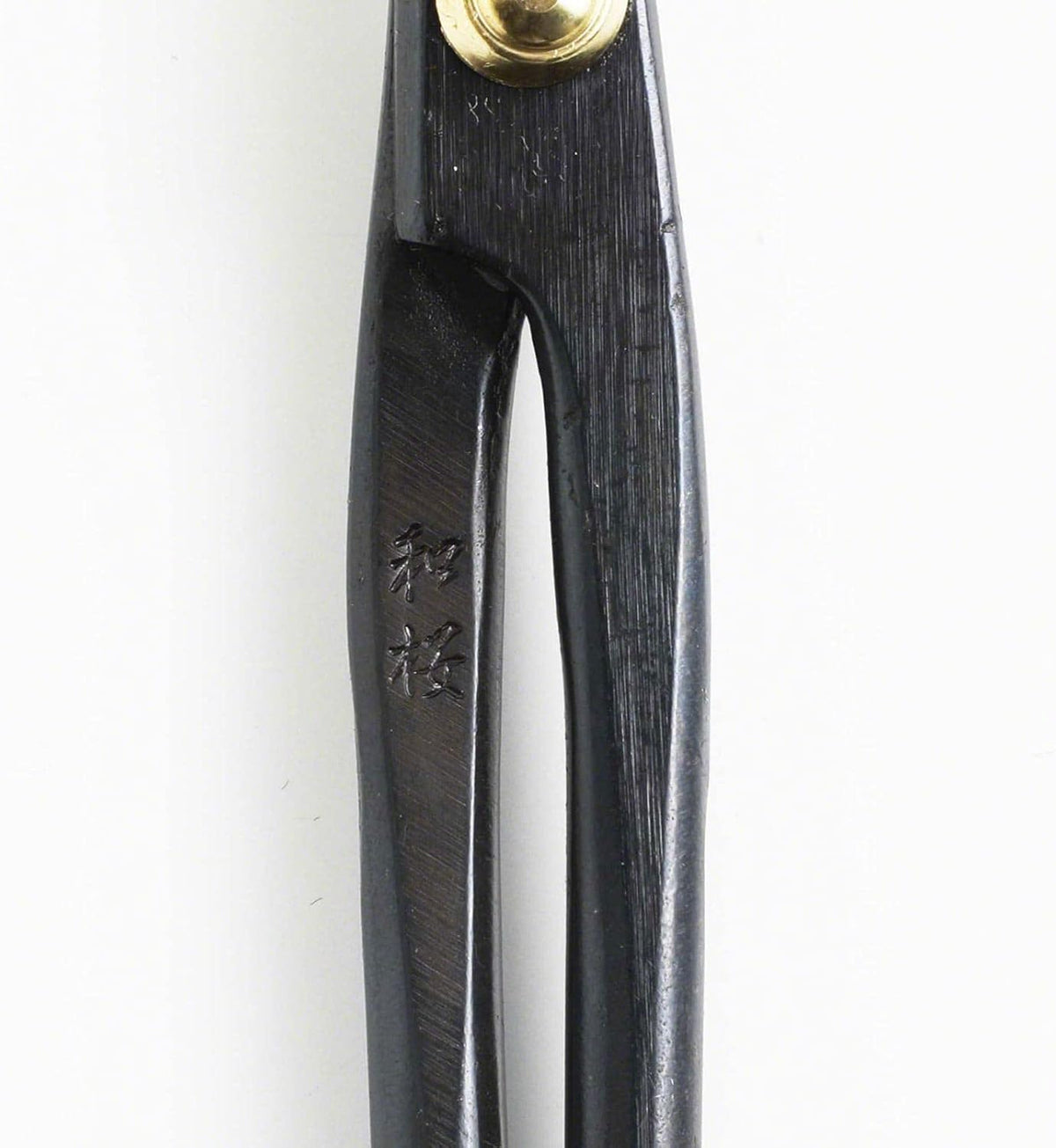 Wazakura Satsuki Bonsai Scissors, Made in Japan 7 inch (180 mm), Japanese Bonsai Garden Tools, Hasami Pruning Shears - Satsuki Style, Black