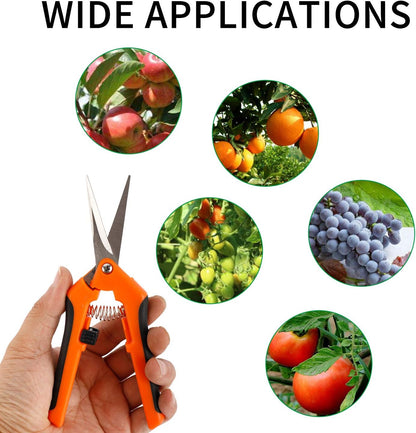 12-Pack 6.5 Inch Gardening Hand Pruner Pruning Shear with Stainless Steel Blades