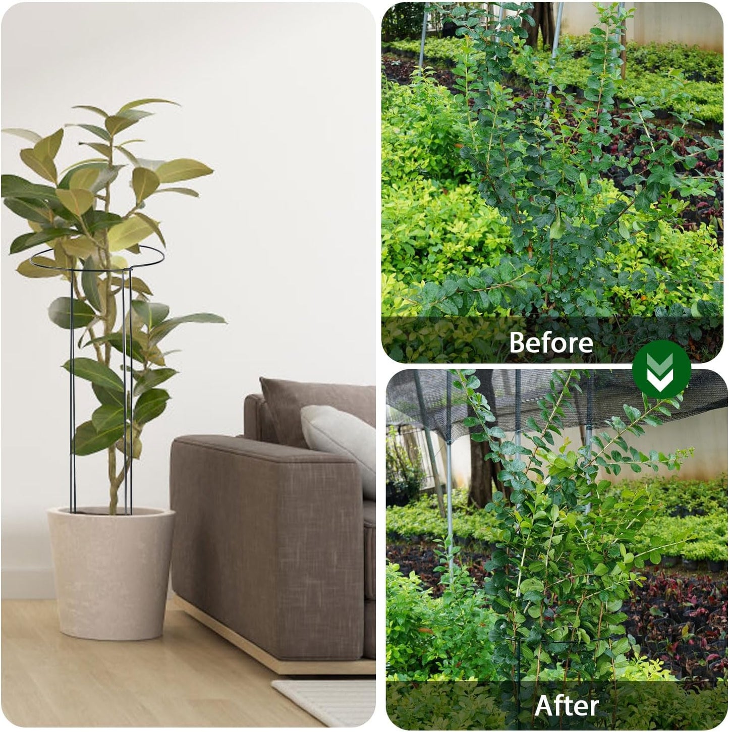 24 Pack Plant Support Stake, Half Round Metal Garden Plant Stake, Green Plant Support Ring, Border Support with Plant Lables & Plant Clips for Outdoor Indoor Plants, Vegetable, Flowers