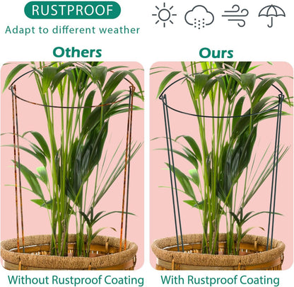 24 Pack Plant Support Stake, Half Round Metal Garden Plant Stake, Green Plant Support Ring, Border Support with Plant Lables & Plant Clips for Outdoor Indoor Plants, Vegetable, Flowers