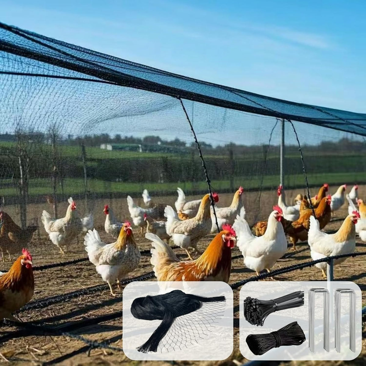 6 x 50 FT Bird Netting for Garden, 1" Square Mesh Size Heavy Duty Nylon Chicken Coop Netting for Blueberry Bushes, Fruit Trees and Vegetable Against Birds, Deer, Squirrels (6X50FT)